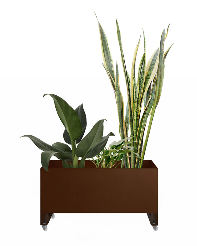 Jardineira Curió 33x76 - Sob encomenda