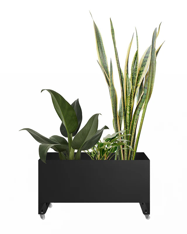 Jardineira Curió 33x76 - Sob encomenda