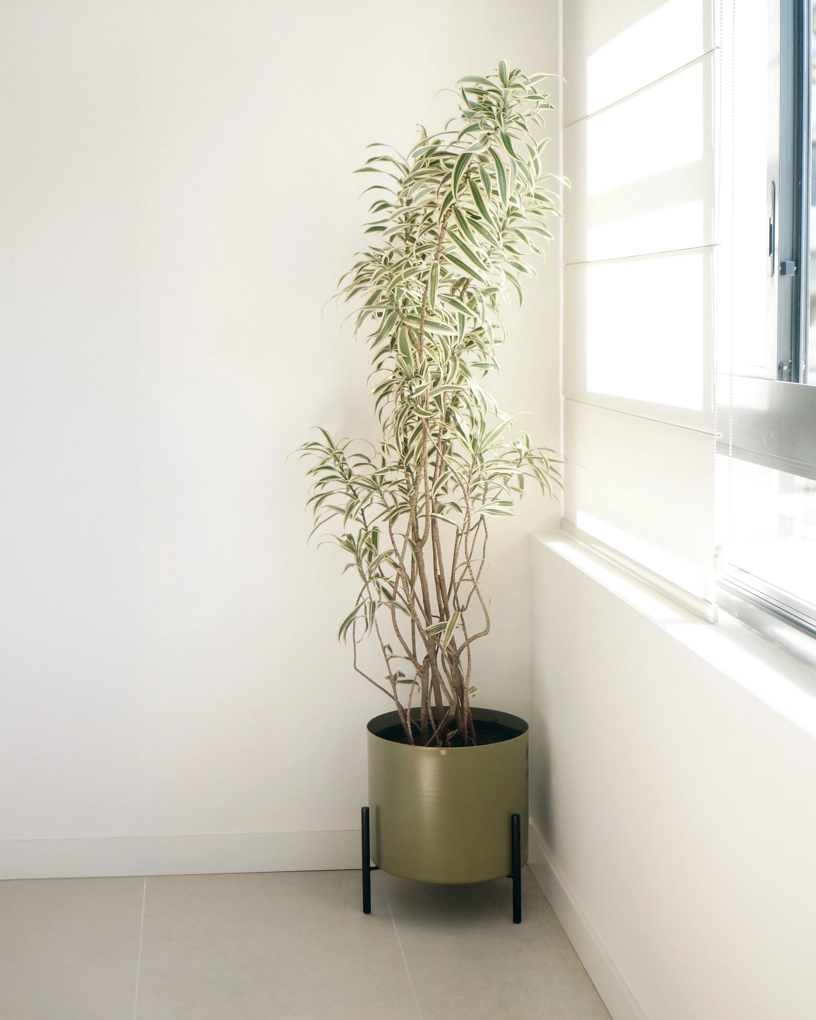 Cachepô alumínio reto 38 - Cores sob encomenda