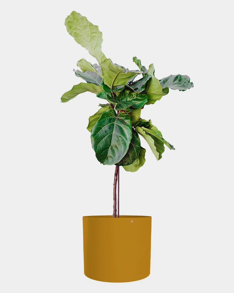 Cachepô alumínio reto 38 - Cores sob encomenda