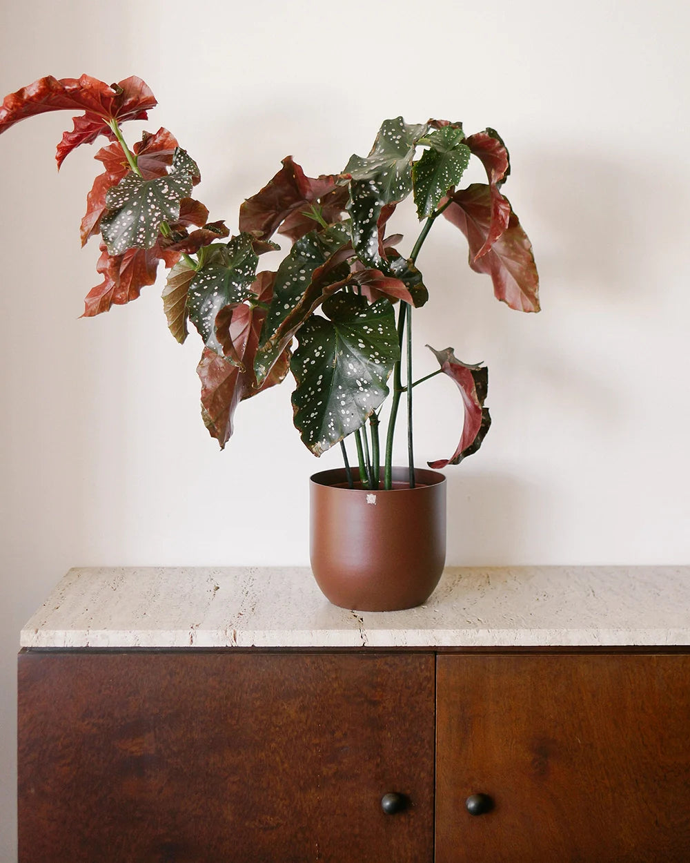 Cachepô alumínio arredondado 18