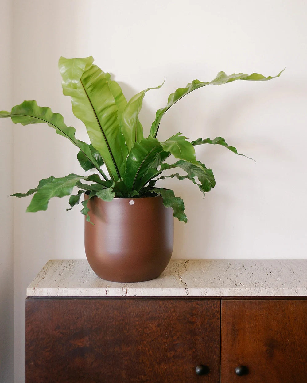 Cachepô alumínio arredondado 25