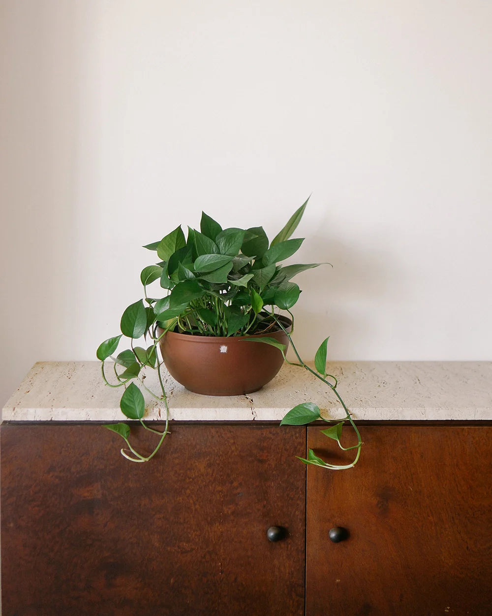 Cachepô alumínio cuia liso 25