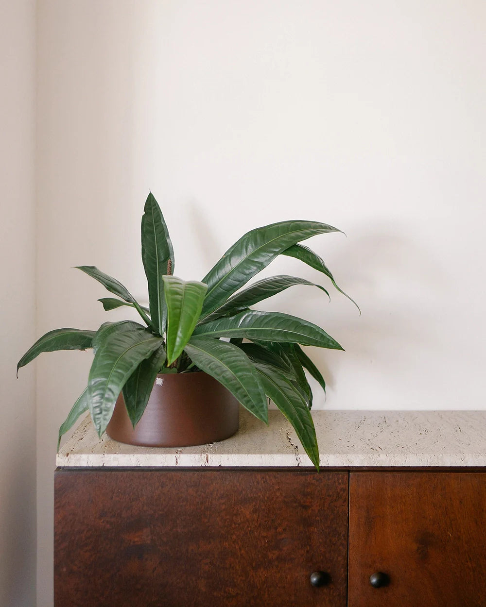 Cachepô alumínio cuia reto 25