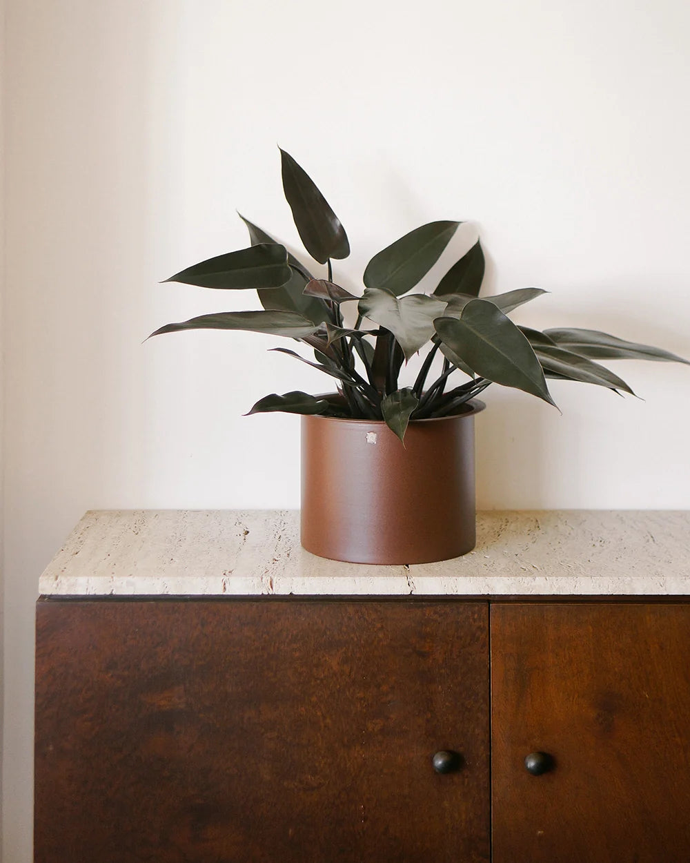 Cachepô alumínio com aba 21