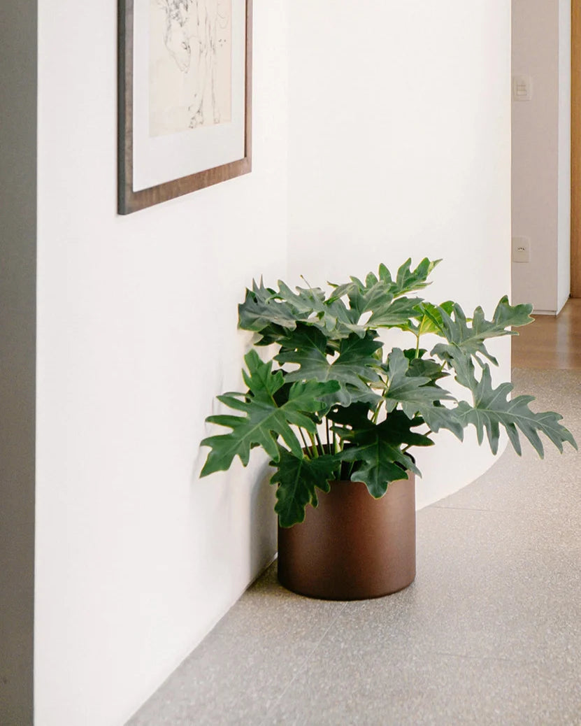 Cachepô alumínio reto 33