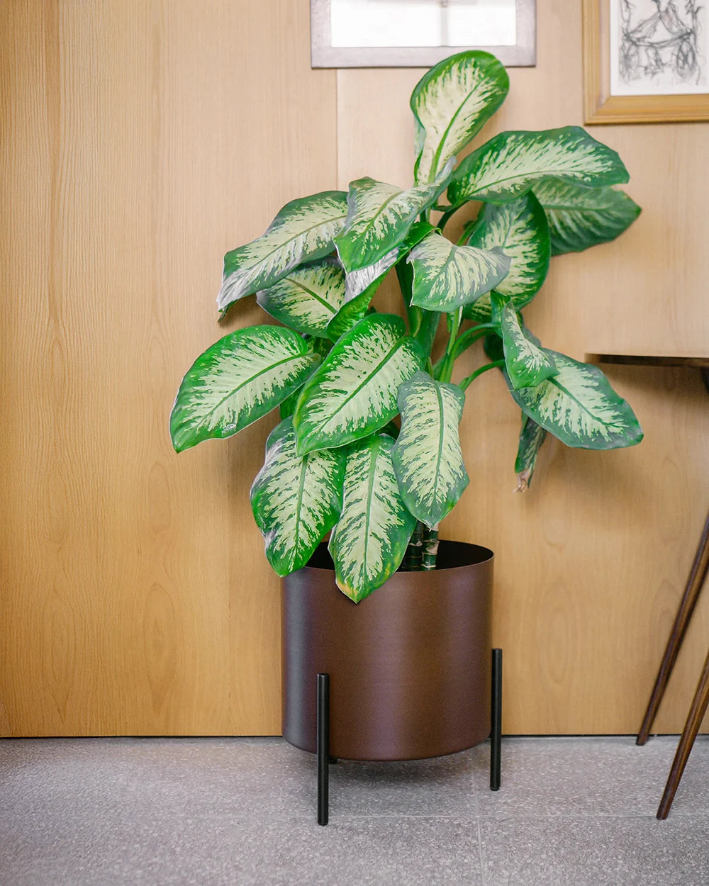 Conjunto - Suporte Rouxinol 38 + Cachepô reto 38