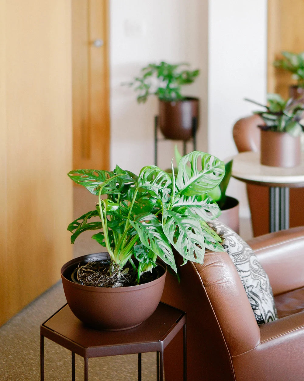 Cachepô alumínio cuia liso 25