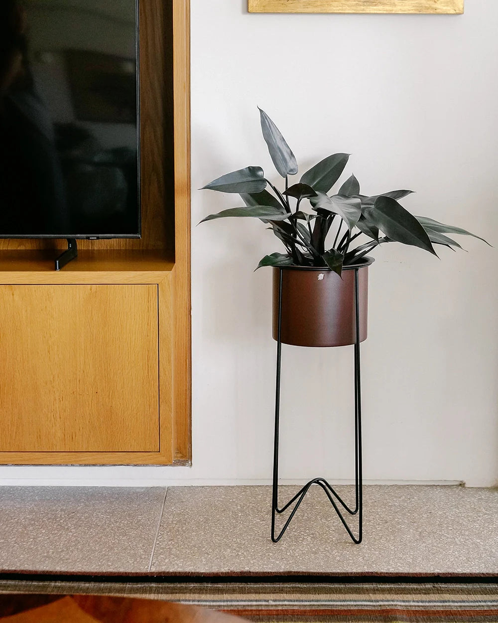 Conjunto - Suporte Bem-te-vi 65 + Cachepô com aba 21