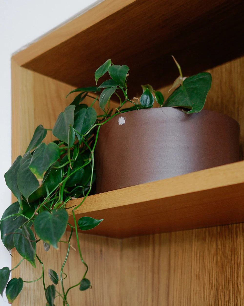 Cachepô alumínio cuia reto 25