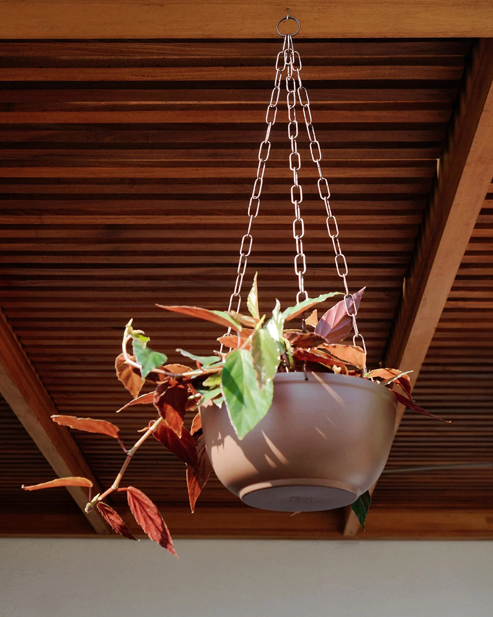 Cachepô pendurável cuia liso 25