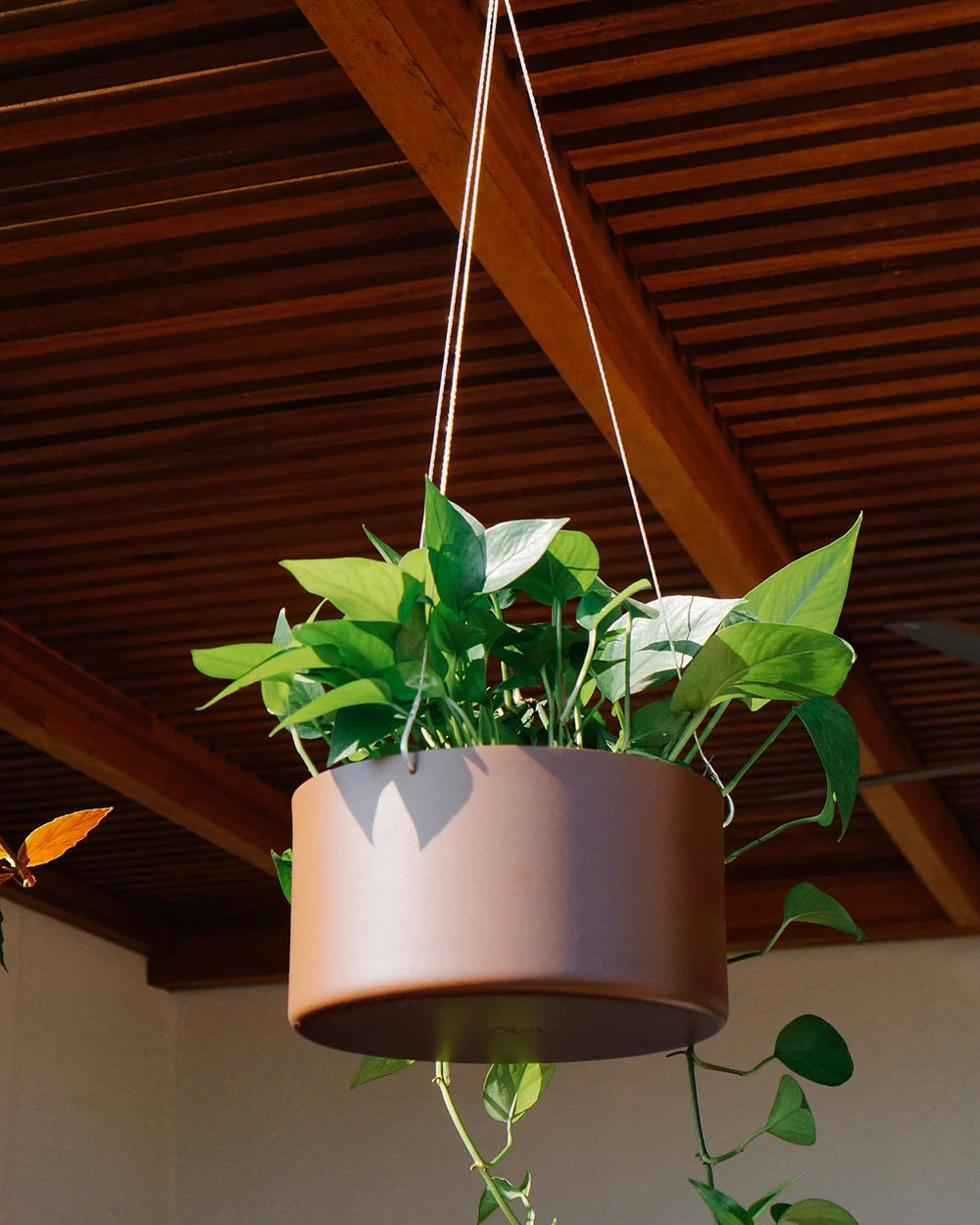 Cachepô pendurável cuia reto 25