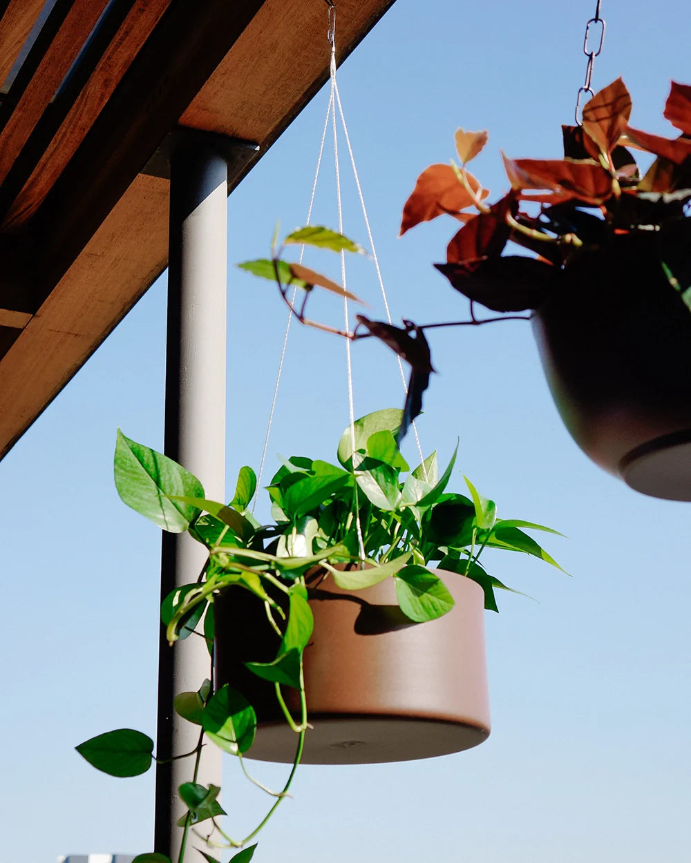 Cachepô pendurável cuia reto 25