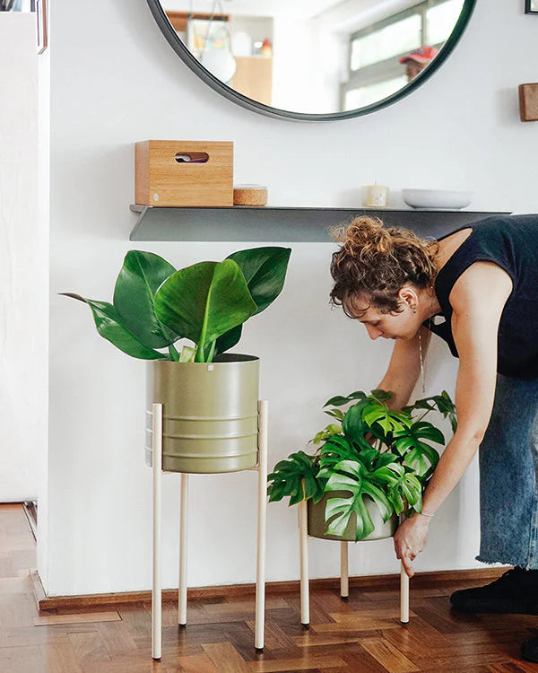 Conjunto - Suporte Rouxinol 25 alto + Cachepô friso 25