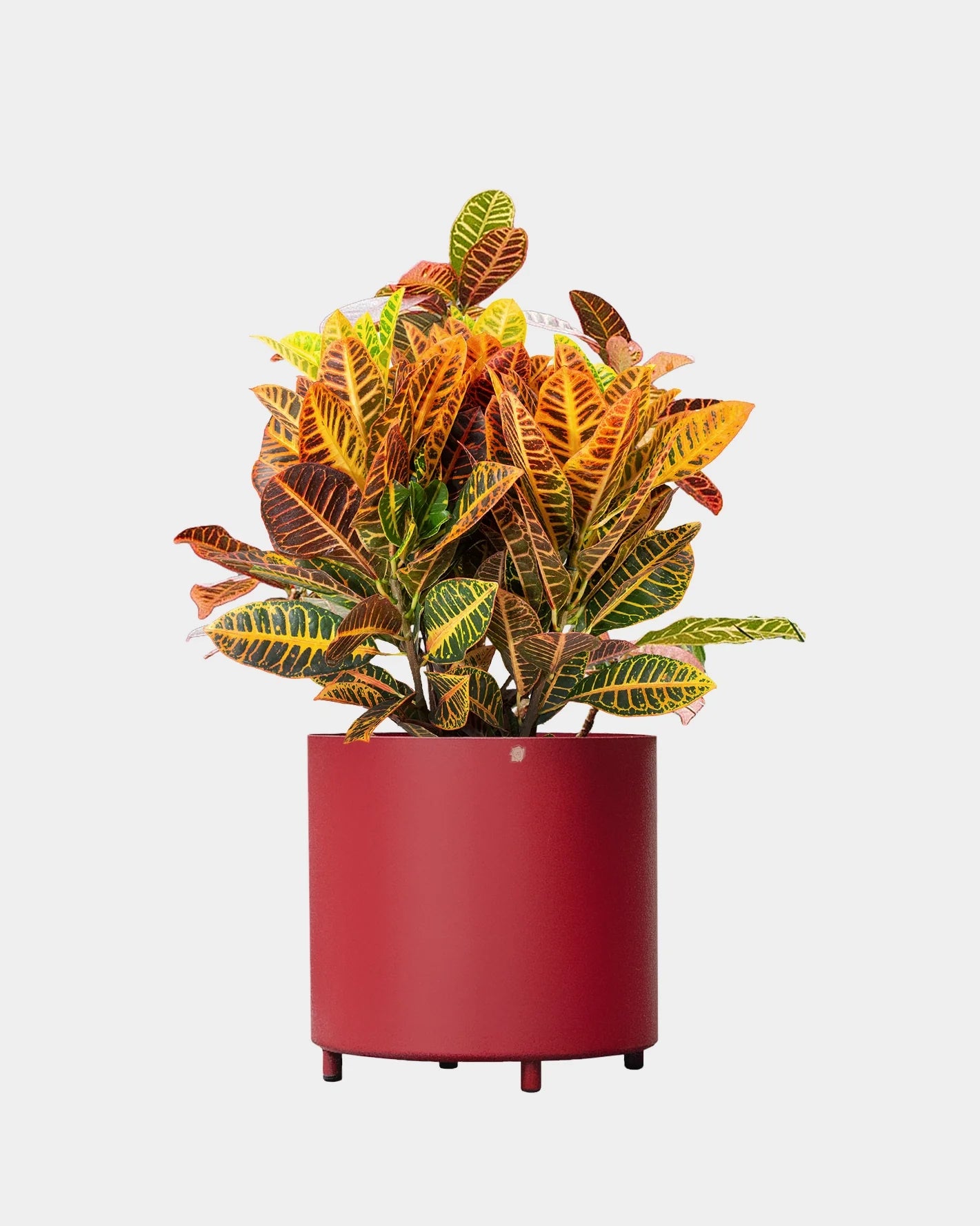 Vaso alumínio reto 33 com pé e furo na base - Sob encomenda